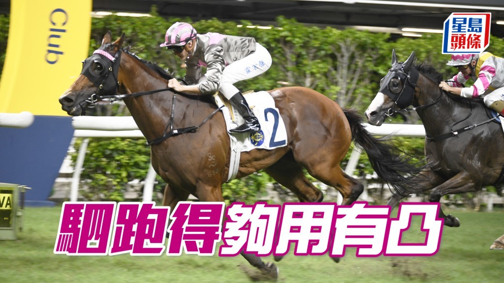「駟跑得」今組對手實力一般,若交回014場次水準就有爭機。