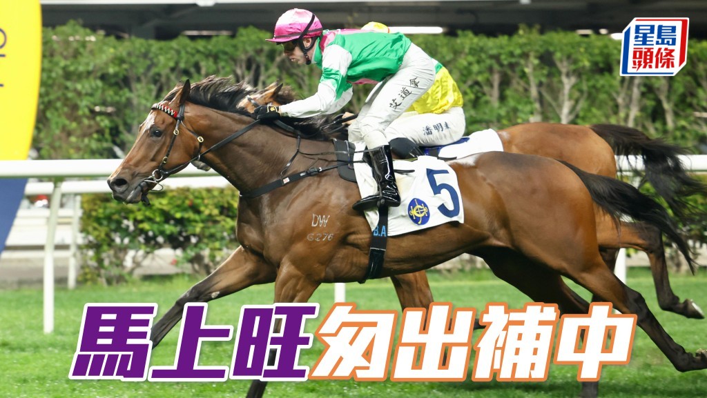 「馬上旺」匆出補中