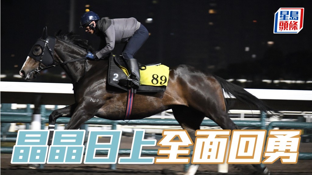  「晶晶日上」戴頭罩由助手跳兩段，暗火展現步順有力，近來神色甚佳，確認全面回勇。