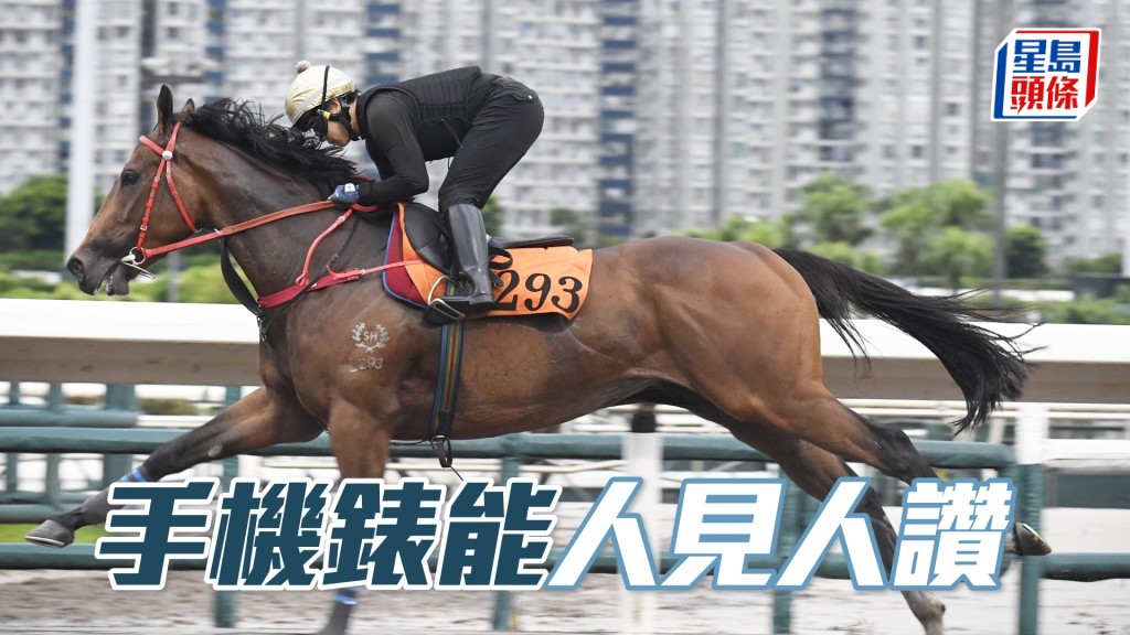 「手機錶能」聚精會神唔急唔搶，目光銳利甚搶鏡。