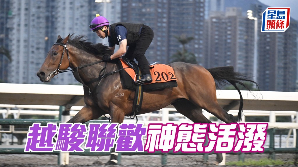 「越骏联欢」出脚爽力贯注，具备争胜水准。