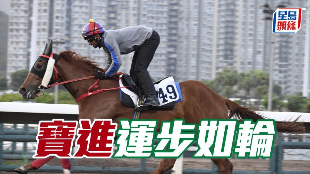 「寶進」轉腳姿態極流暢，馬身展現線條美。