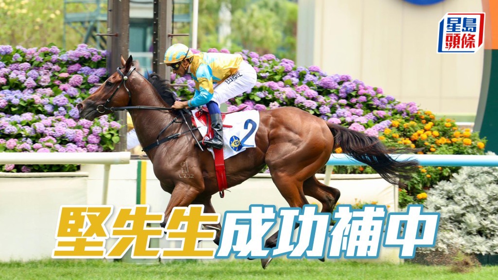 「堅先生」成功補中