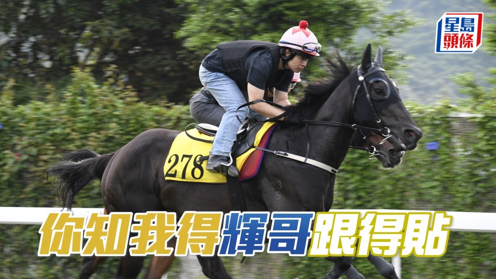 「你知我得」今朝出跳後姚本輝立即趕落隧道底接馬。