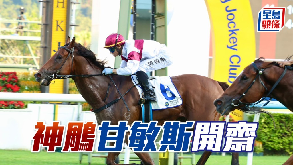 「神鵰」甘敏斯開齋