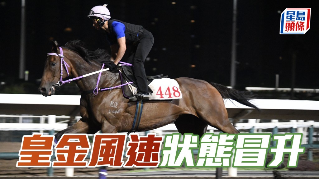「皇金風速」助手跳一段，開氣後狀態顯著冒升，墜手起勁火氣復現。