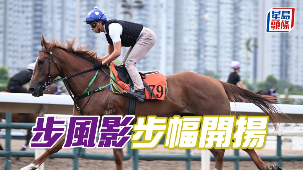 「步风影」毛色油润现光泽，胜后更吸引。