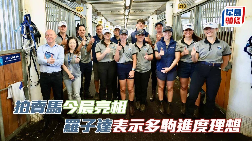 馬場浮世繪｜2026國際馬匹拍賣會下月三日舉行 多匹拍賣馬今晨亮相