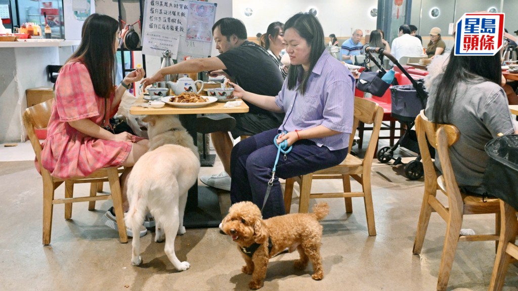 容許狗隻進入食肆的《2026年食物業（修訂）規例》日前生效，截至上周五，食環署收到逾1400宗狗隻進入食肆的申請。資料圖片