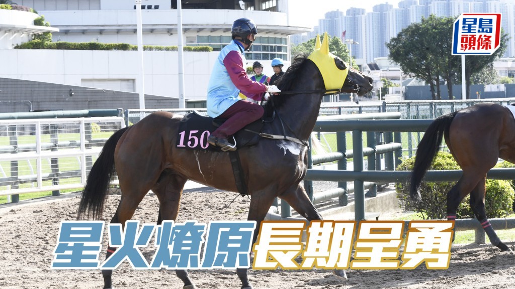 「星火燎原」双耳烔烔目光锐利，神生步爽充满霸气。