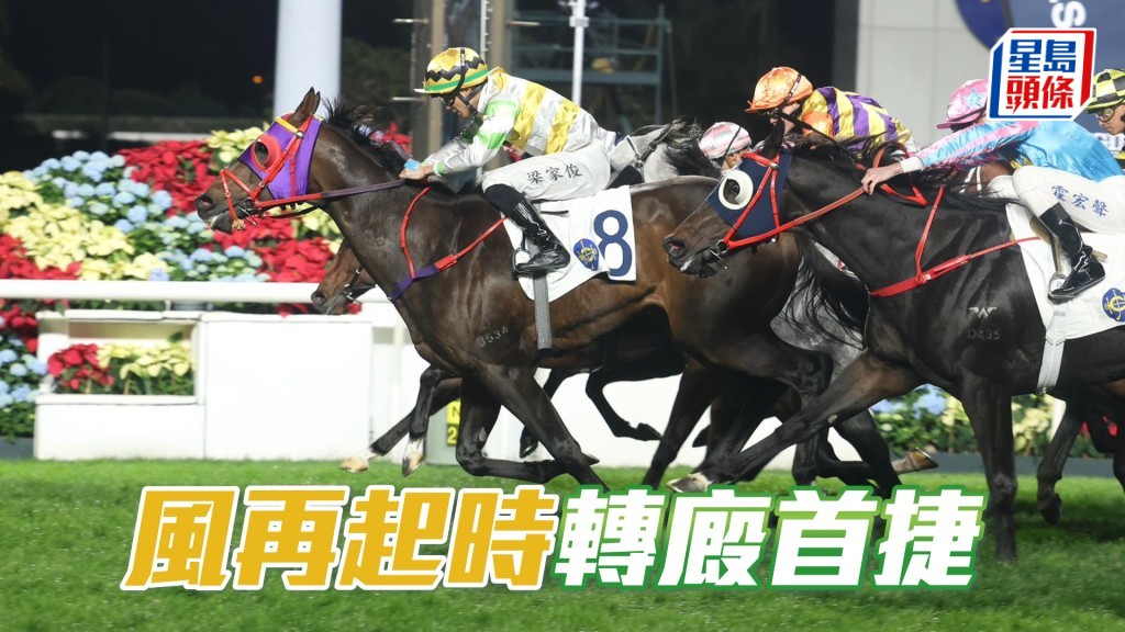 「风再起时」转厩首捷