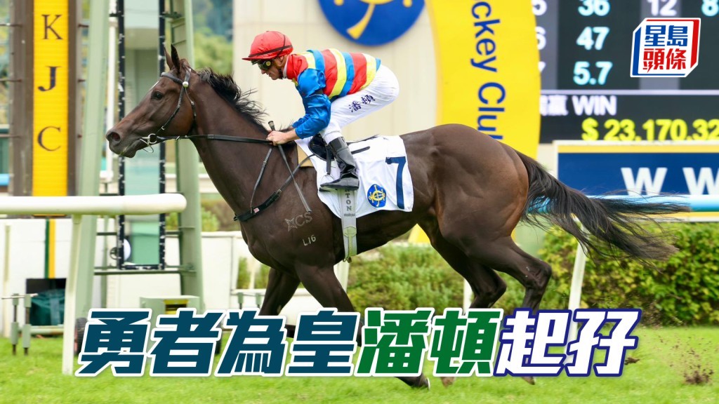 「勇者為皇」潘頓起孖