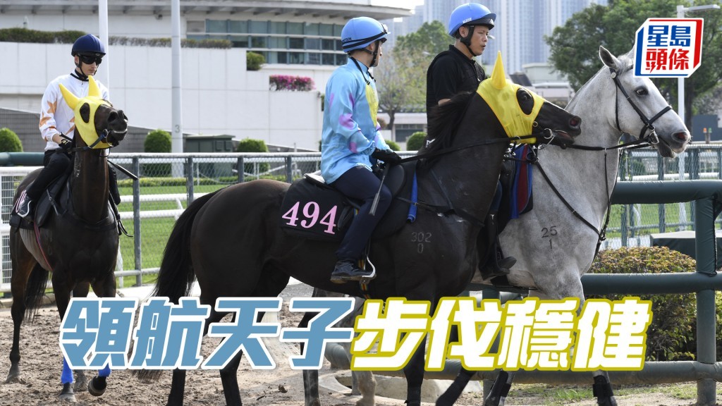 「領航天子」神色火氣同樣對辦，一直在上佳水準。