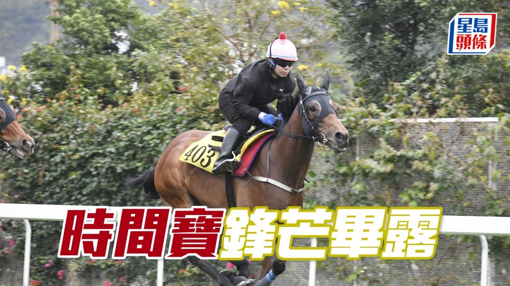 「时间宝」双耳烔烔目光锐利，神生步爽充满霸气。