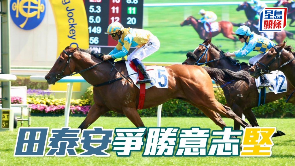 文杰访问│田泰安争胜意志「坚」