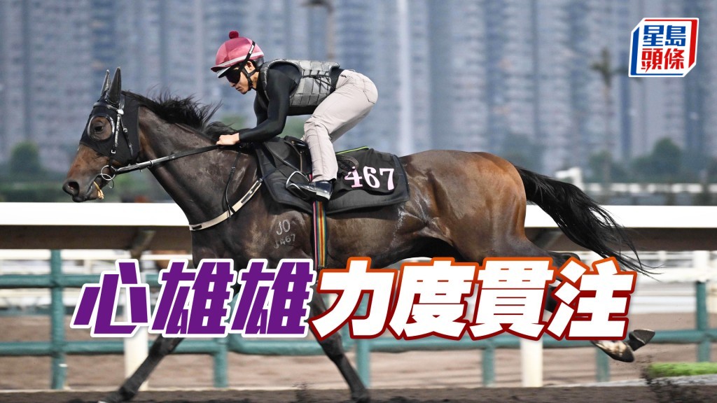 「心雄雄」落脚够劲，细马身壮够实净。