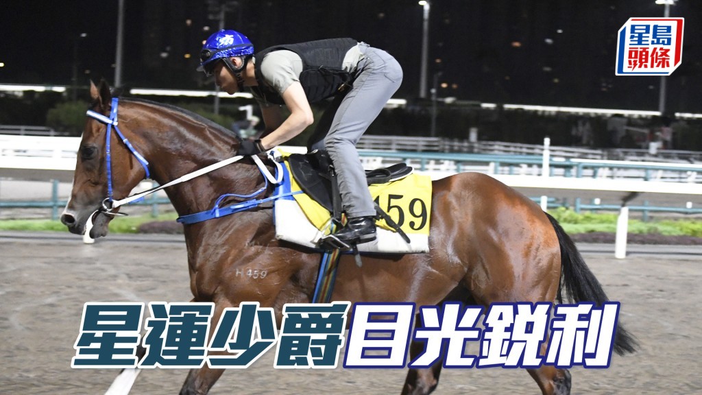  「星運少爵」神生步爽充滿霸氣，勇銳鋒芒畢露。