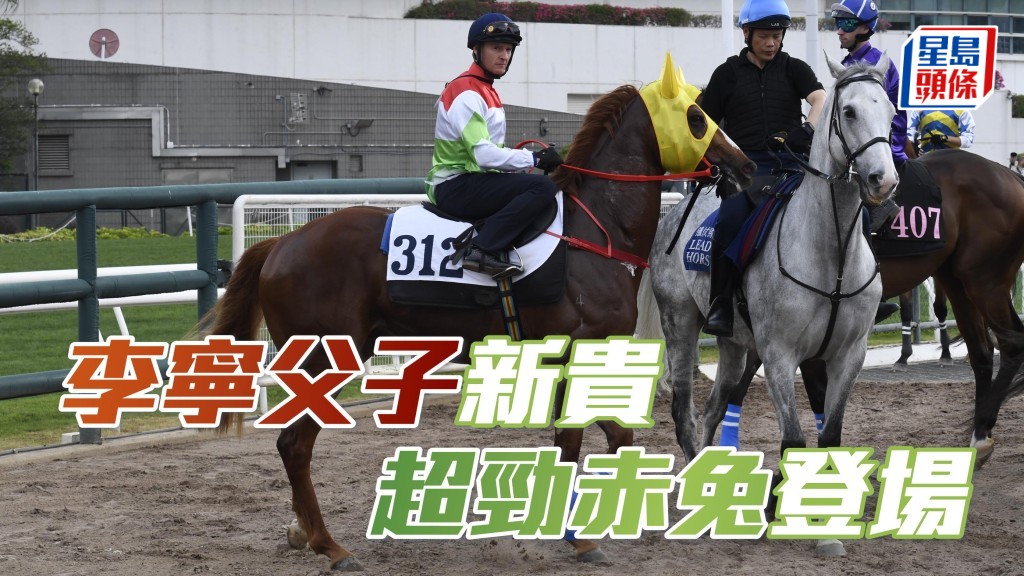 李寧和兒子李小寧和好友羅豫西等合夥的「超勁赤兔」(圖),周三晚初次登場,跑第九場三班千二米。