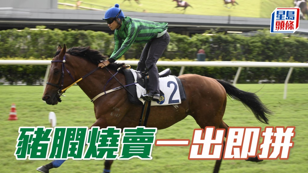 「豬膶燒賣」(圖) 周三晚在港初出,且看於鵬哥訓練下能否初出即有好成績。
