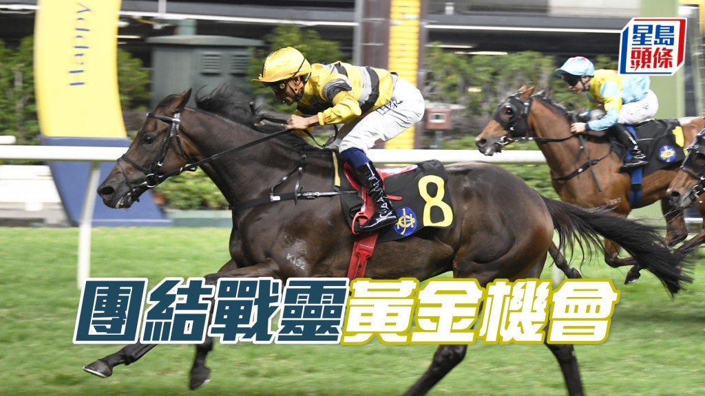 「团结战灵」排一档遇快步速场合，有力一攻而破。