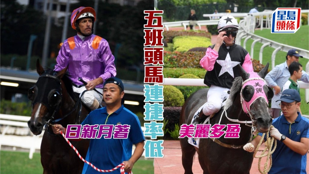 今季五班頭馬連捷率有6%，本賽日第二場「日新月著」及第三場「美麗多盈」新勝而臨，能否提升連捷數字？