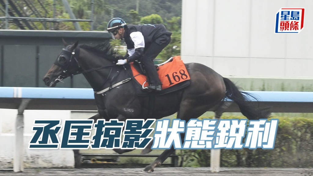 「丞匡掠影」神情專注目光如炬，神色活躍火氣仍盛。