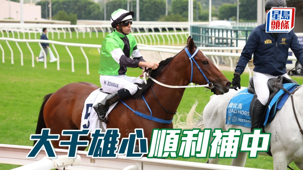 「大千雄心」順利補中