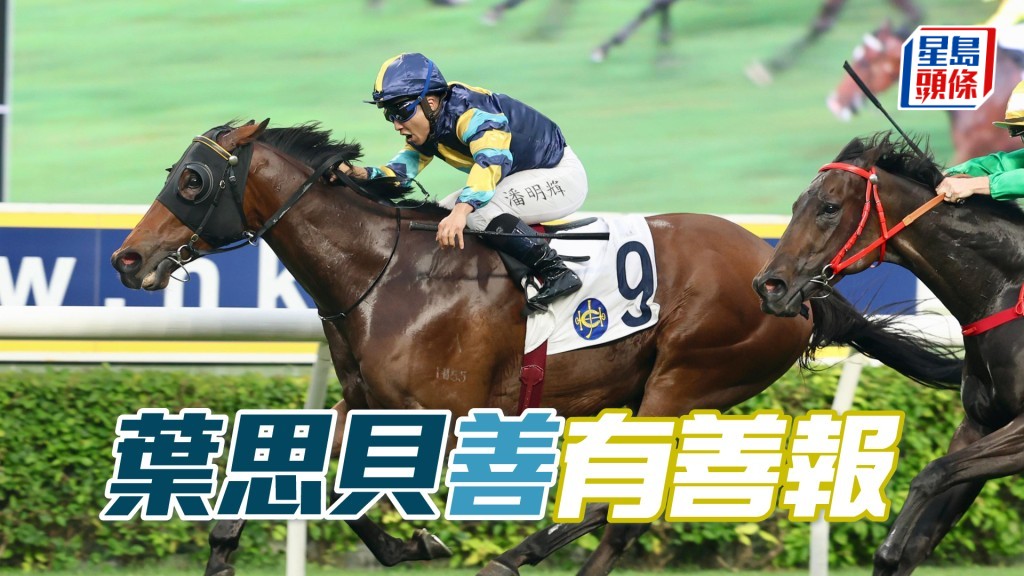 「愛馬善」將出爭周日第九場二班千二米。