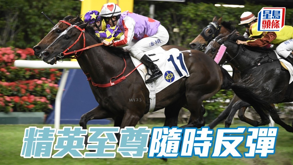 「精英至尊」來季有力在季初搶攻。
