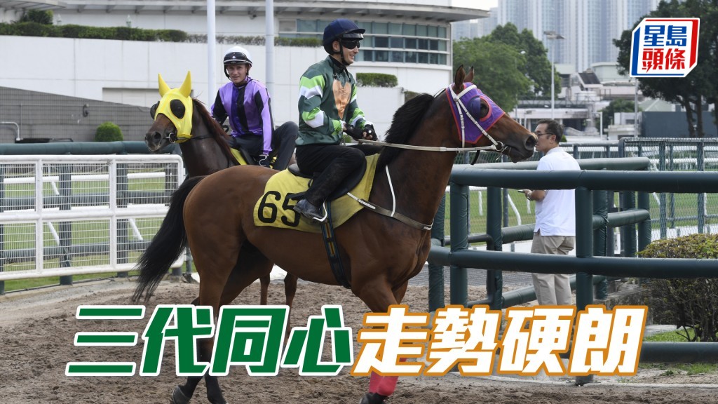 「三代同心」勁度未減毛色悅目，未見低落。