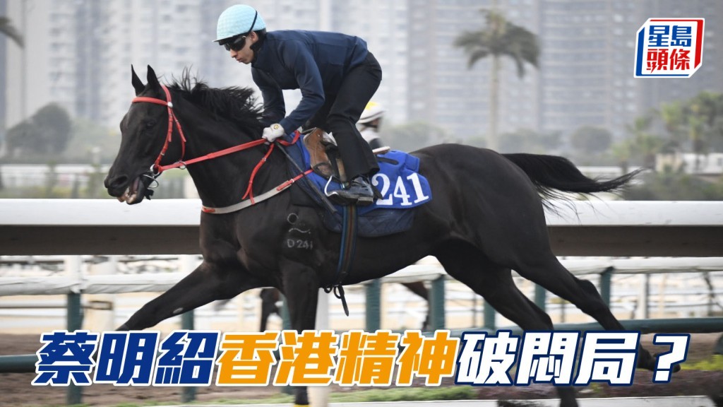 「香港精神」(图) 上场在田泰安胯下取胜，今场由蔡明绍接手，出争头场五班二千二百米，力争破闷局。