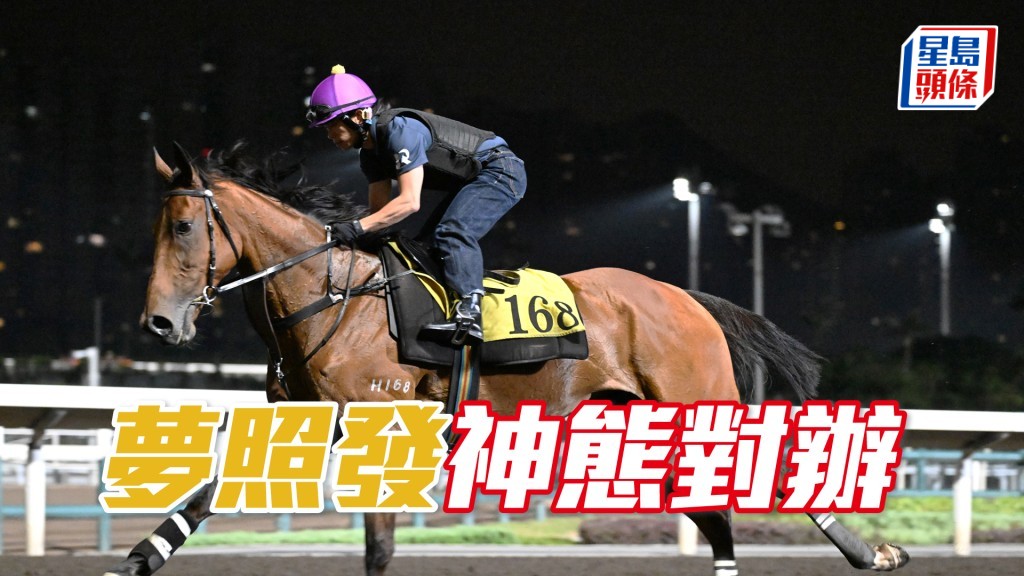   「梦照发」按住顺走姿态轻松，多跑下马身保持饱满。