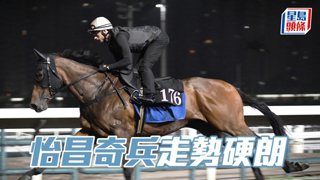 「怡昌奇兵」馬身實淨神態活躍，一直在爭勝水準。