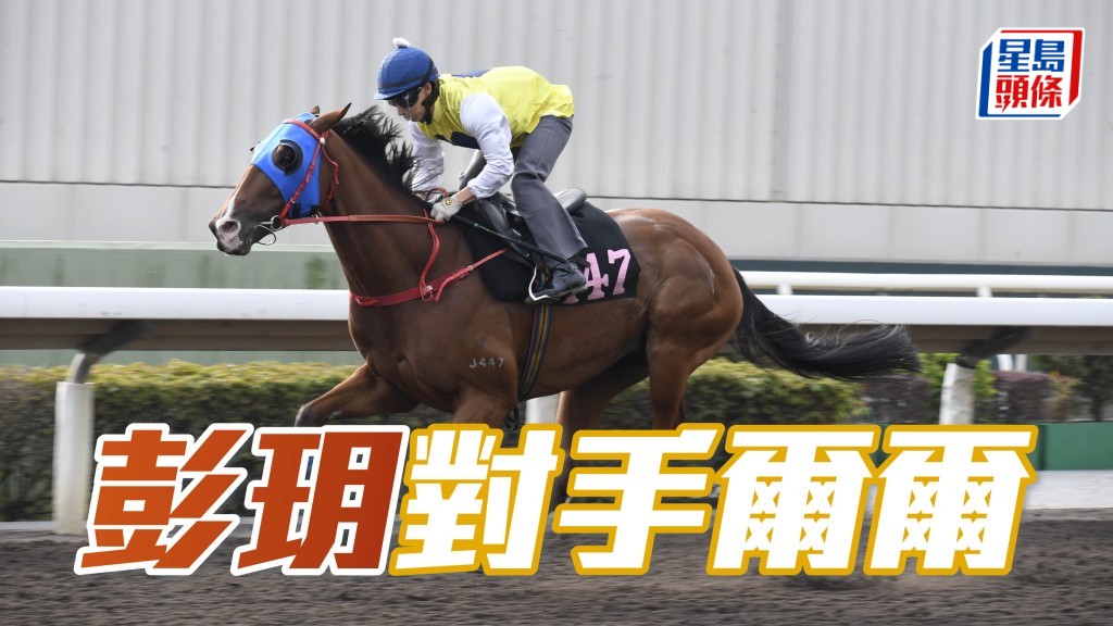 「彭玥」(圖) 今次可憑速度入楔守二至四位應非難事，在對手非強之下，以三甲為目標很合理。