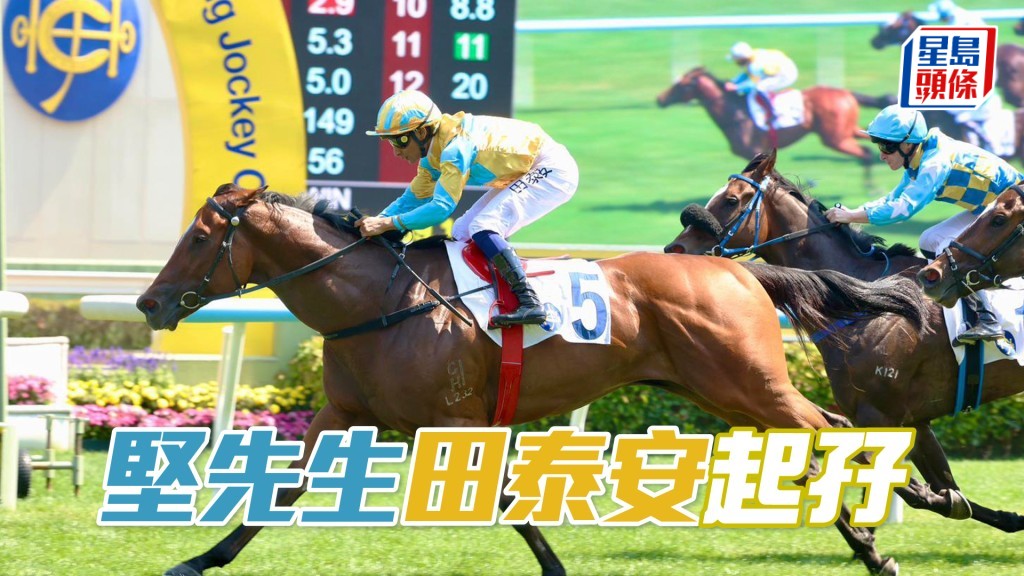 「堅先生」田泰安起孖