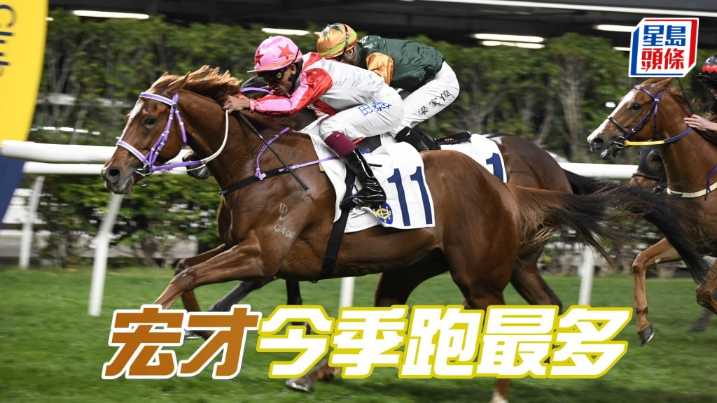 目前跑得最多是「宏才」，上周是季內第十八次上陣。