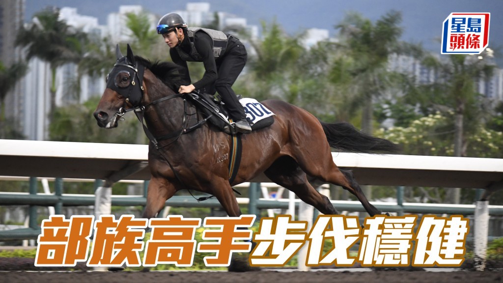 內圈捕影│「部族高手」步伐穩健