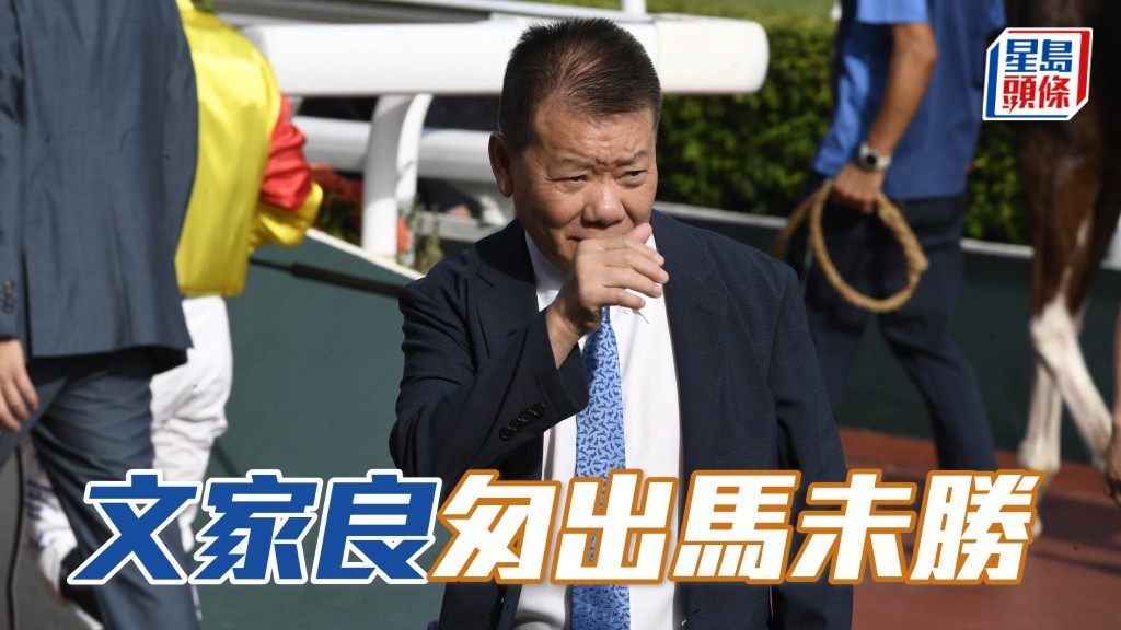 自二○一九赛季至今，文家良马房共十二匹赛驹，相隔八日或以内上阵其总成绩为十二战两亚两季，上名率33.3%。