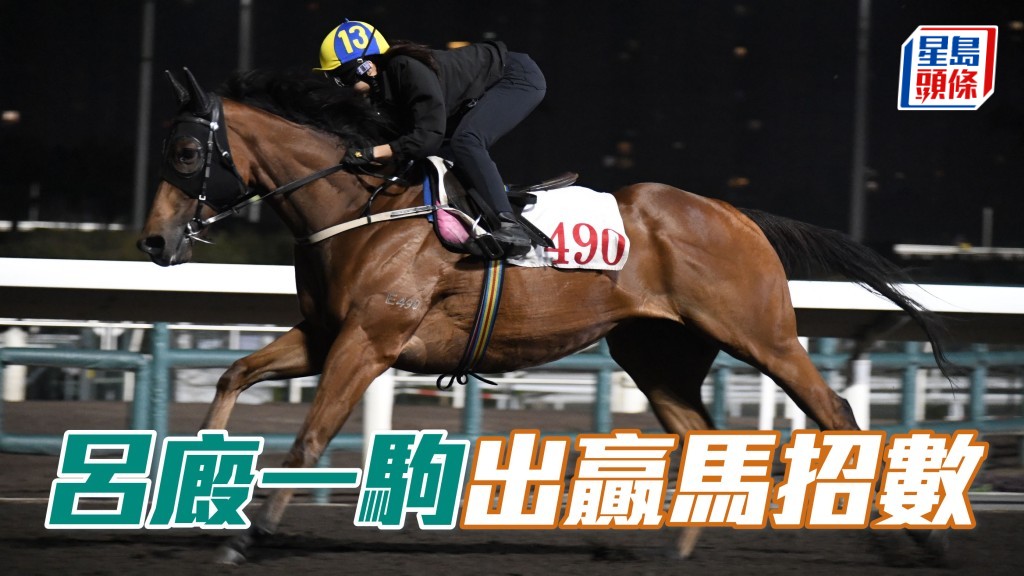 「金發盛世」(圖) 今朝出跳鞍上人來一記大力推騎，而之前贏馬一仗，賽前試跑也有這安排，用番搏殺絕招必定要留意。(資料圖片)