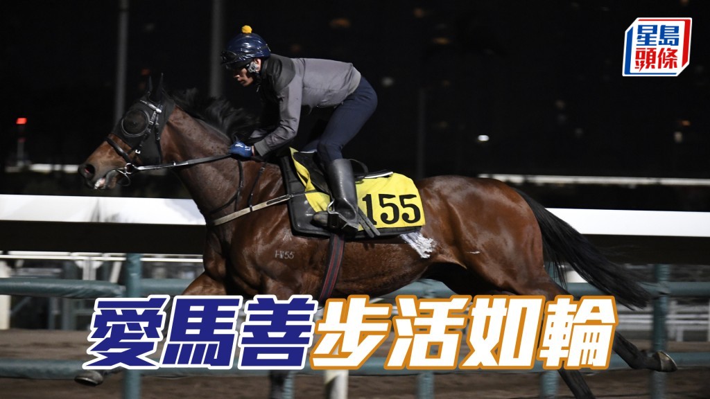 「愛馬善」力度充足暗火湧現。