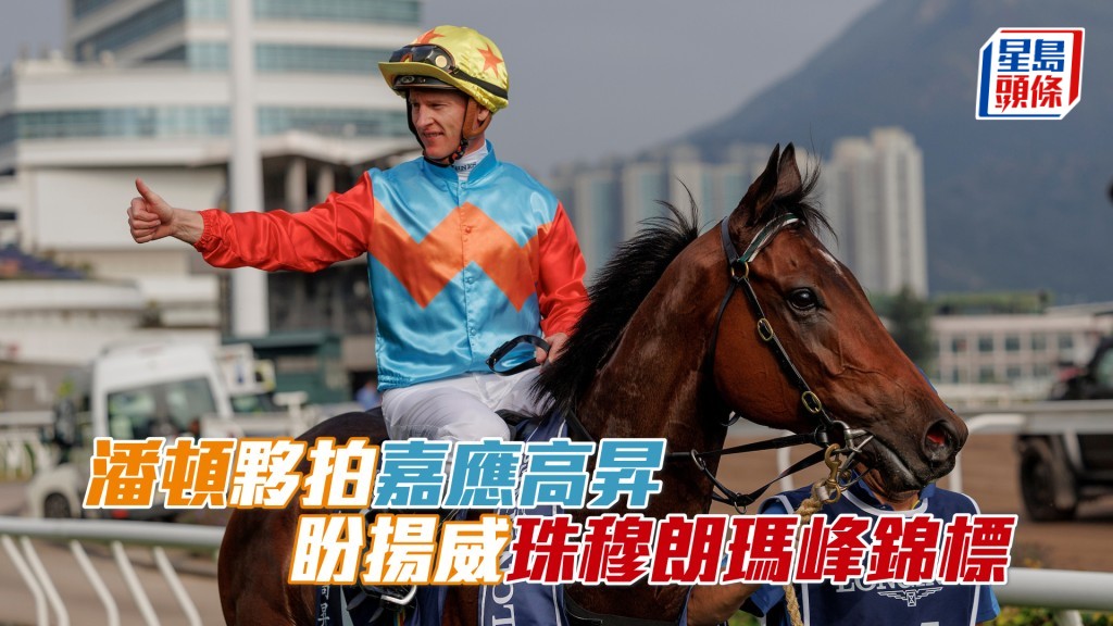 潘頓至今在全球各地合共取得四十七場一級賽頭馬。