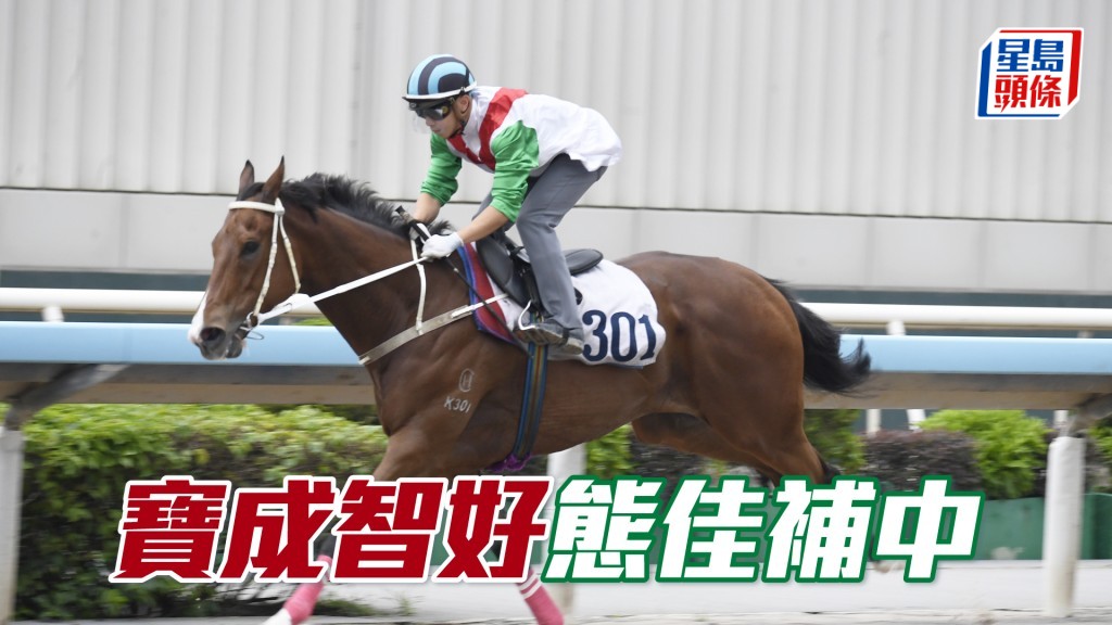 「寶成智好」上仗休出也得季軍，今仗可補中。