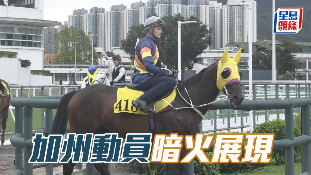 「加州動員」步順輕巧神態暢旺，論勇極出色。
