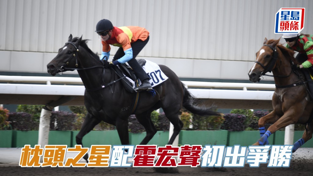「枕頭之星」周日在港初出，將由霍宏聲執韁。