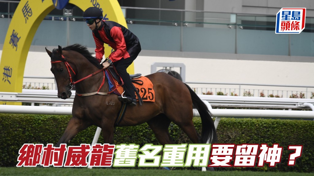 「鄉村威龍」舊名重用要留神？
