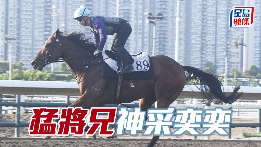 「猛將兄」步挺順暢勁度唔錯，論態具備爭勝水準。