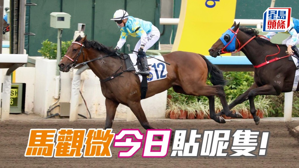 「乐胜天下」泥都泥了