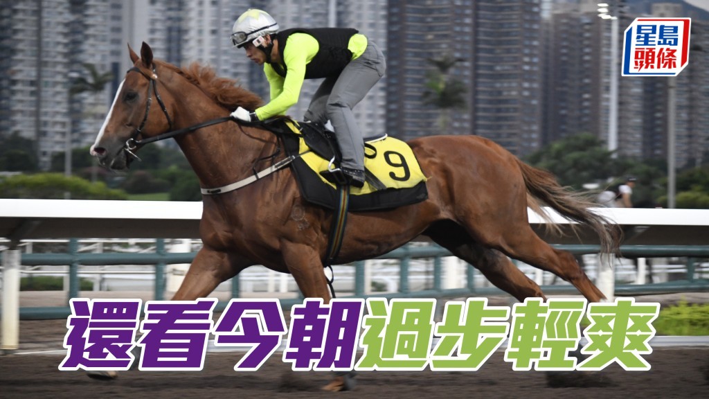 「還看今朝」過步輕爽