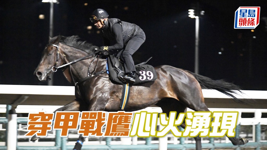 「穿甲戰鷹」雙目炯炯有神，抖夠操足充滿朝氣。