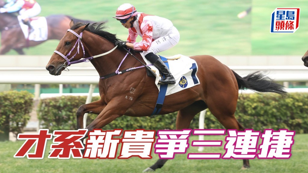 馬主梁頴頤對「膨才」寄予厚望，力爭三捷。